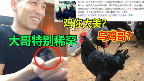 飞哥爆料整只鸡视频播放,整只鸡视频播放背后的惊人真相 第3张 飞哥爆料整只鸡视频播放,整只鸡视频播放背后的惊人真相 第3张