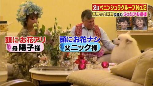 香港生活爆料视频大全最新,最新视频大全精彩瞬间大盘点 第2张 香港生活爆料视频大全最新,最新视频大全精彩瞬间大盘点 第2张